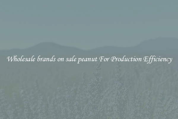 Wholesale brands on sale peanut For Production Efficiency