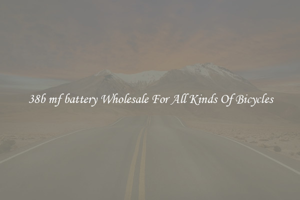 38b mf battery Wholesale For All Kinds Of Bicycles