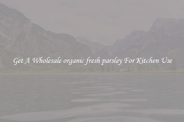 Get A Wholesale organic fresh parsley For Kitchen Use