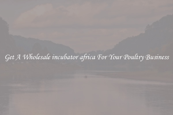 Get A Wholesale incubator africa For Your Poultry Business