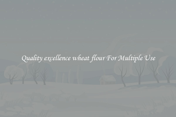 Quality excellence wheat flour For Multiple Use