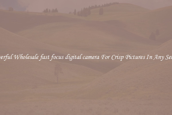 Powerful Wholesale fast focus digital camera For Crisp Pictures In Any Setting
