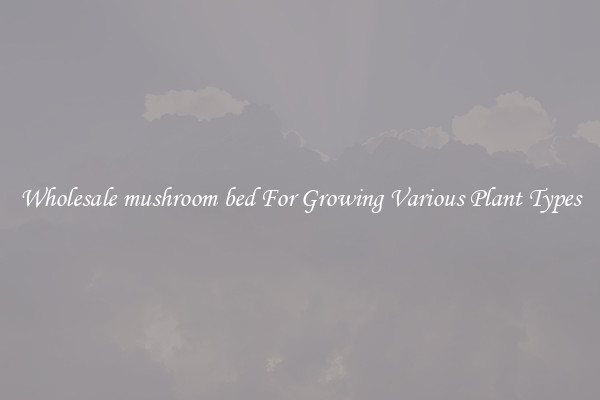 Wholesale mushroom bed For Growing Various Plant Types