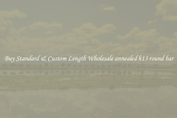 Buy Standard & Custom Length Wholesale annealed h13 round bar