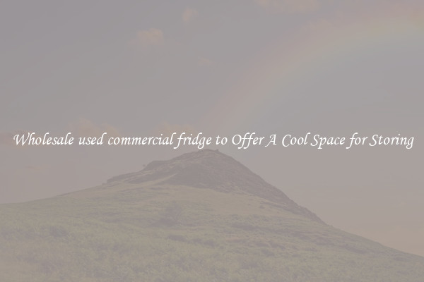 Wholesale used commercial fridge to Offer A Cool Space for Storing