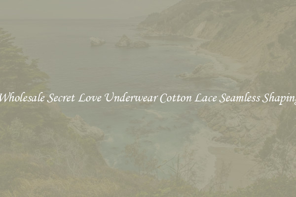 Wholesale Secret Love Underwear Cotton Lace Seamless Shaping