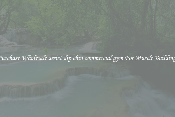 Purchase Wholesale assist dip chin commercial gym For Muscle Building.