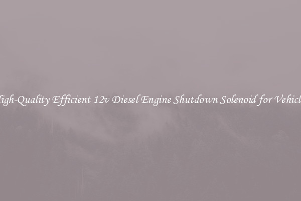 High-Quality Efficient 12v Diesel Engine Shutdown Solenoid for Vehicles