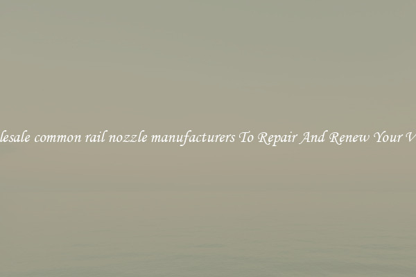 Wholesale common rail nozzle manufacturers To Repair And Renew Your Vehicle