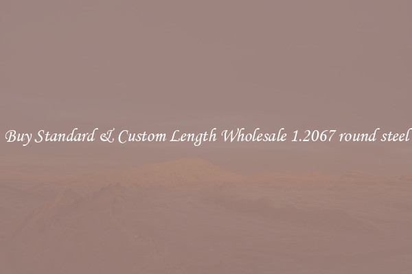 Buy Standard & Custom Length Wholesale 1.2067 round steel