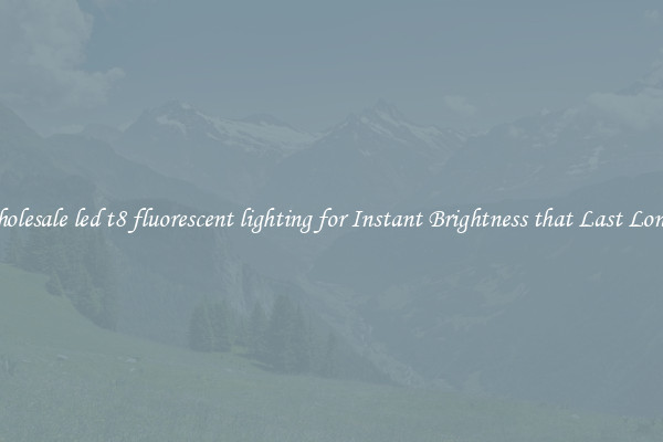 Wholesale led t8 fluorescent lighting for Instant Brightness that Last Longer