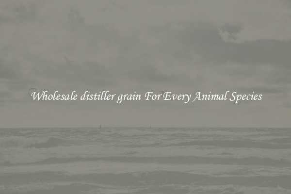 Wholesale distiller grain For Every Animal Species