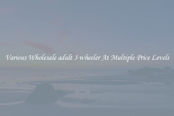 Various Wholesale adult 3 wheeler At Multiple Price Levels