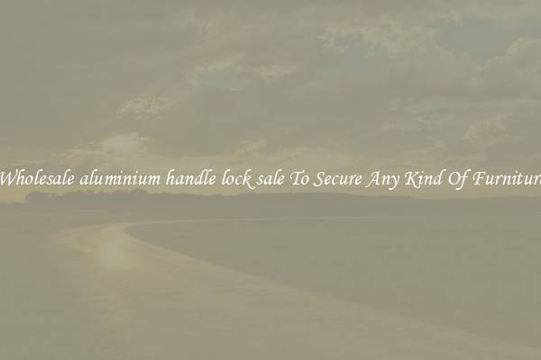 Wholesale aluminium handle lock sale To Secure Any Kind Of Furniture