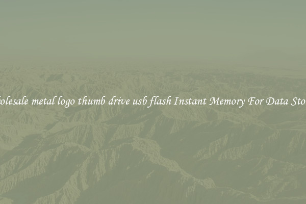 Wholesale metal logo thumb drive usb flash Instant Memory For Data Storage
