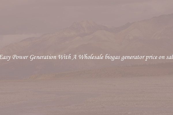 Easy Power Generation With A Wholesale biogas generator price on sale